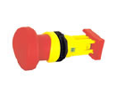 CLE2 40