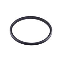 E40566 IFM - Anel de Vedação EPDM Sensor de Vazão SMF DN100 Higiênico E40566