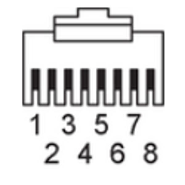 EVF558 IFM - Cabo de Ligação Ethernet M12 para RJ45 Indústria Alimentícia 5m Blindado IP69K