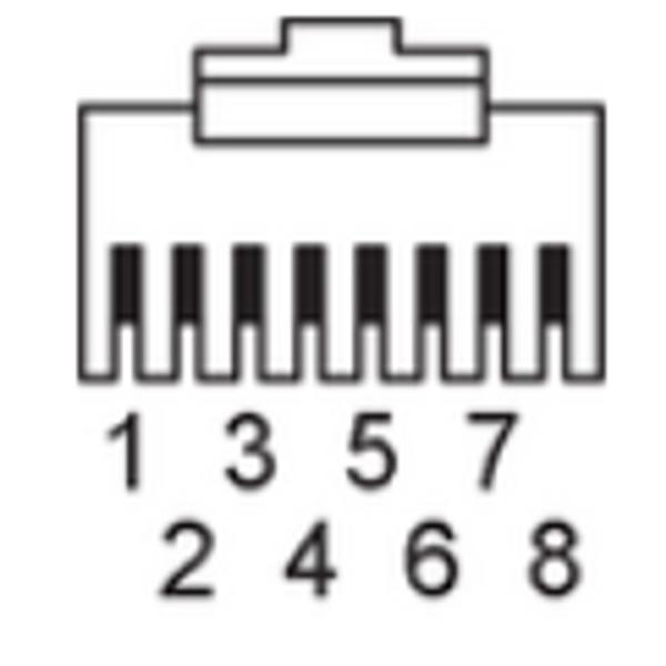 EVF559 IFM - Cabo de Ligação Ethernet ifm Indústria Alimentícia 10m CAT5e IP69K