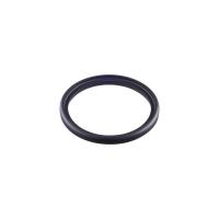 E40564 IFM - Anel de Vedação EPDM IFM para Sensor de Vazão SMF DN65 74.2mm E40564