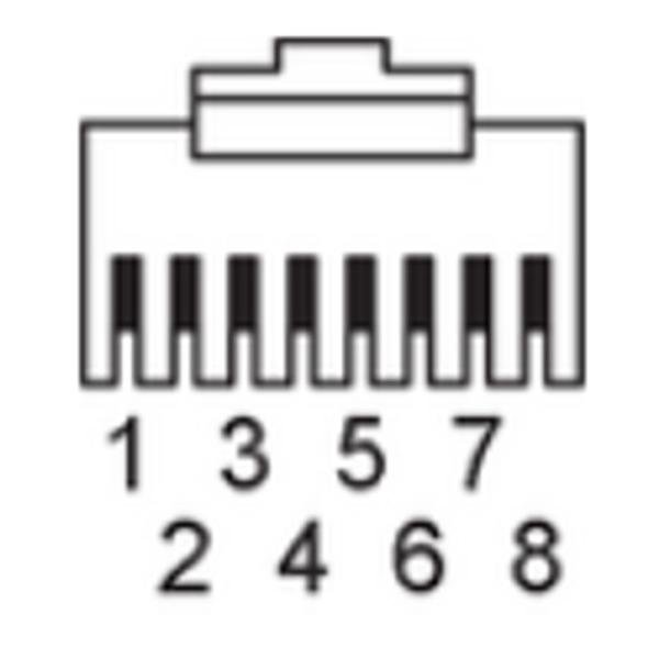 EVF557 IFM - Cabo de Ligação Ethernet ifm Indústria Alimentícia M12 p/ RJ45 2m Blindado