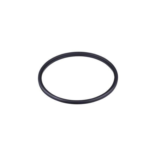 E40567 IFM - Anel de Vedação IFM para Sensor de Vazão SMF EPDM DN125