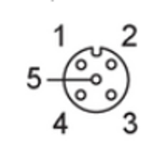 EVC073 IFM - Cabo Conector Fêmea M12 Angular Automação Industrial 2m PUR 5 Polos