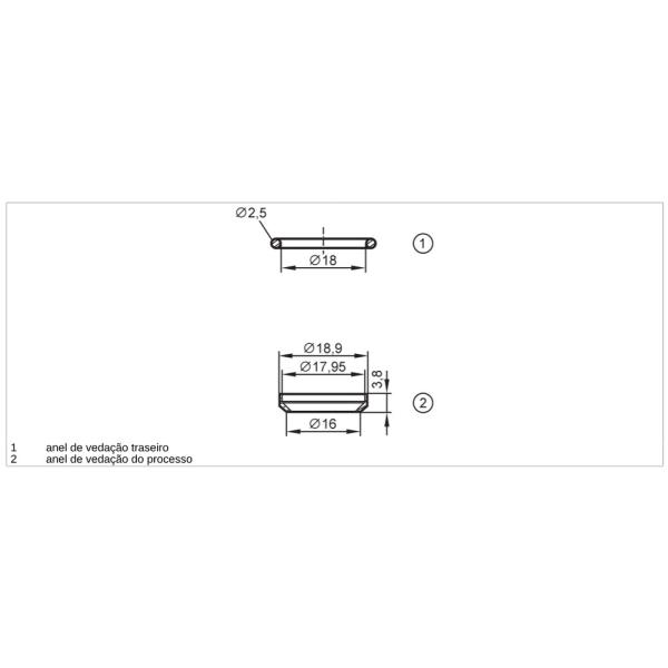 E43911 IFM - Anel de Vedação IFM Vedação de Processo PEEK G 1/2