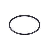 E40568 IFM - Anel de Vedação EPDM Sensor de Vazão SMF DN150 E40568