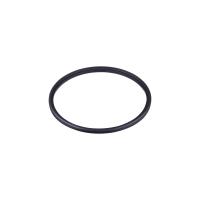 E40567 IFM - Anel de Vedação IFM para Sensor de Vazão SMF EPDM DN125 E40567