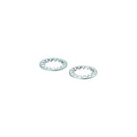 E10183 IFM - Arruela de Pressão IFM Fixação e Segurança M18 Aço Galvanizado Kit 2pç E10183