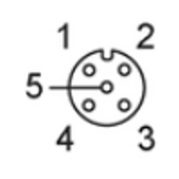EVM080 IFM - Cabo Conector Fêmea M12 Para Ambientes Adversos Blindado 5m PUR