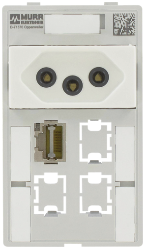 MSDD INSERTO C/ 1XBR 1XRJ45